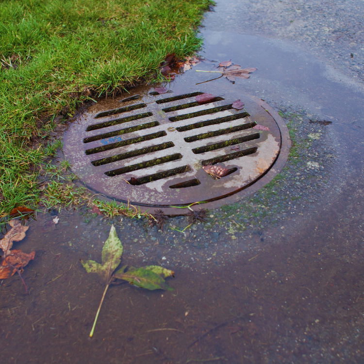blocked sewer cctv survey